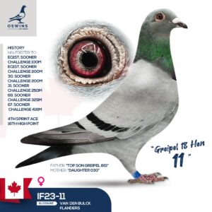 Greipel 18 Hen 11