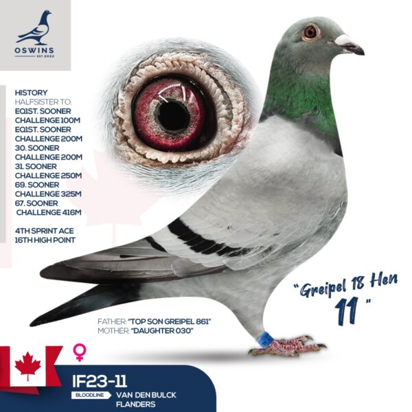Greipel 18 Hen 11