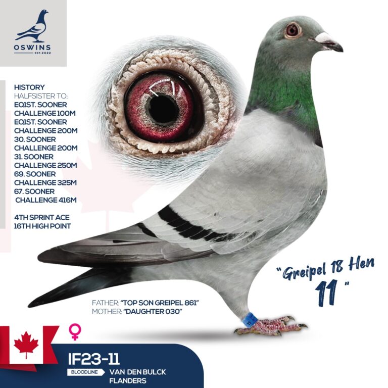 Greipel 18 Hen 11